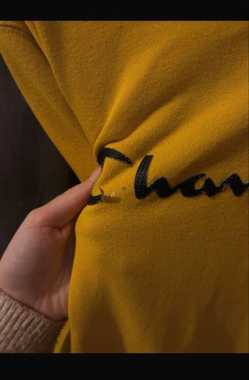 Pull à capuche champion 