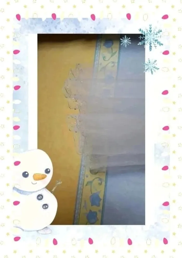 Voile de mariée - photo numéro 3