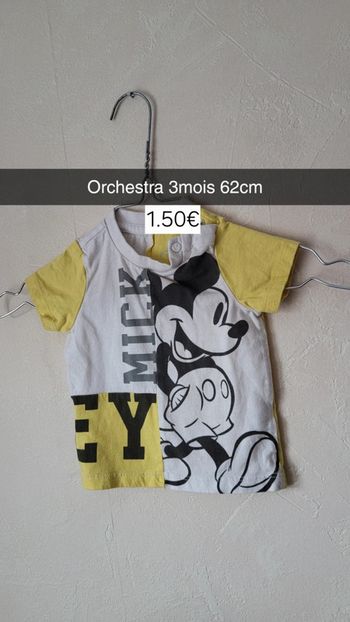 Tee shirt