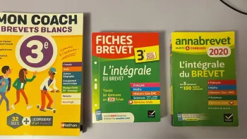 Lot de 3 manuels pour le brevet