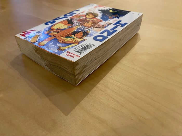 Love hina double tome - photo numéro 4