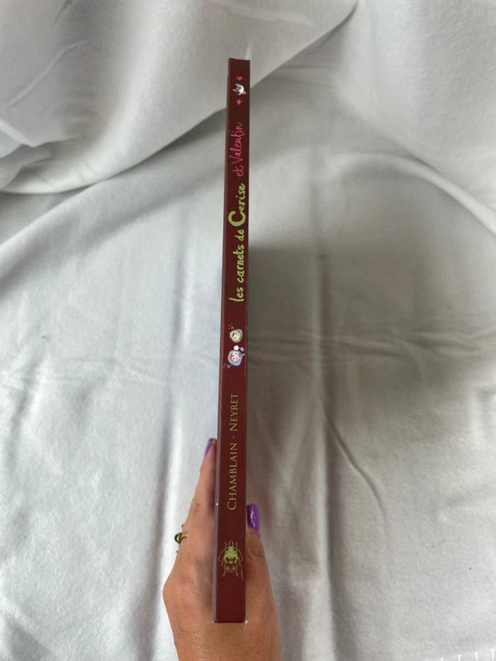 BD Les carnets de Cerise et Valentin - photo numéro 3