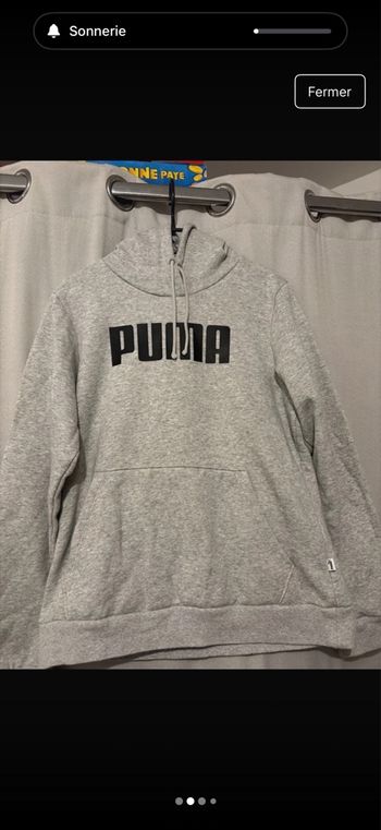 Pull puma