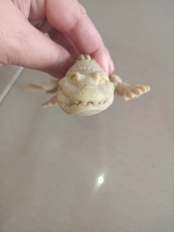 Crocodile en plastique - photo numéro 3