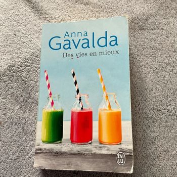 #des vies en mieux Anna Gavalda