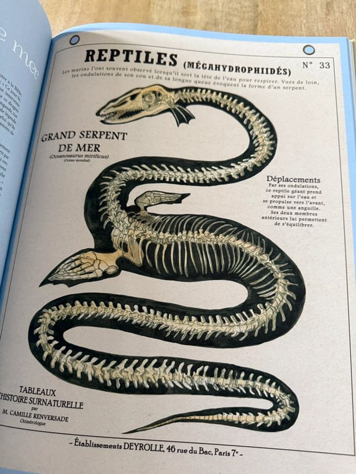 Plume de Carotte Créatures fantastiques Deyrolle livre grand album encyclopédie - photo numéro 11