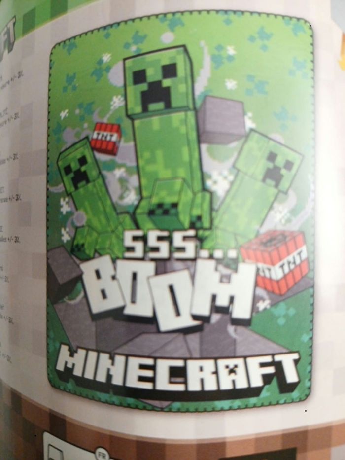 Plaid minecraft - photo numéro 2