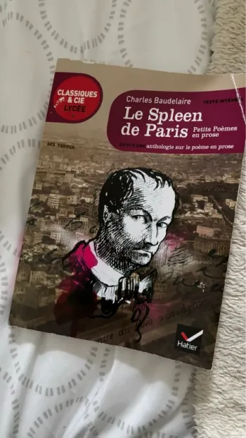 Le spleen de Paris Charles Baudelaire