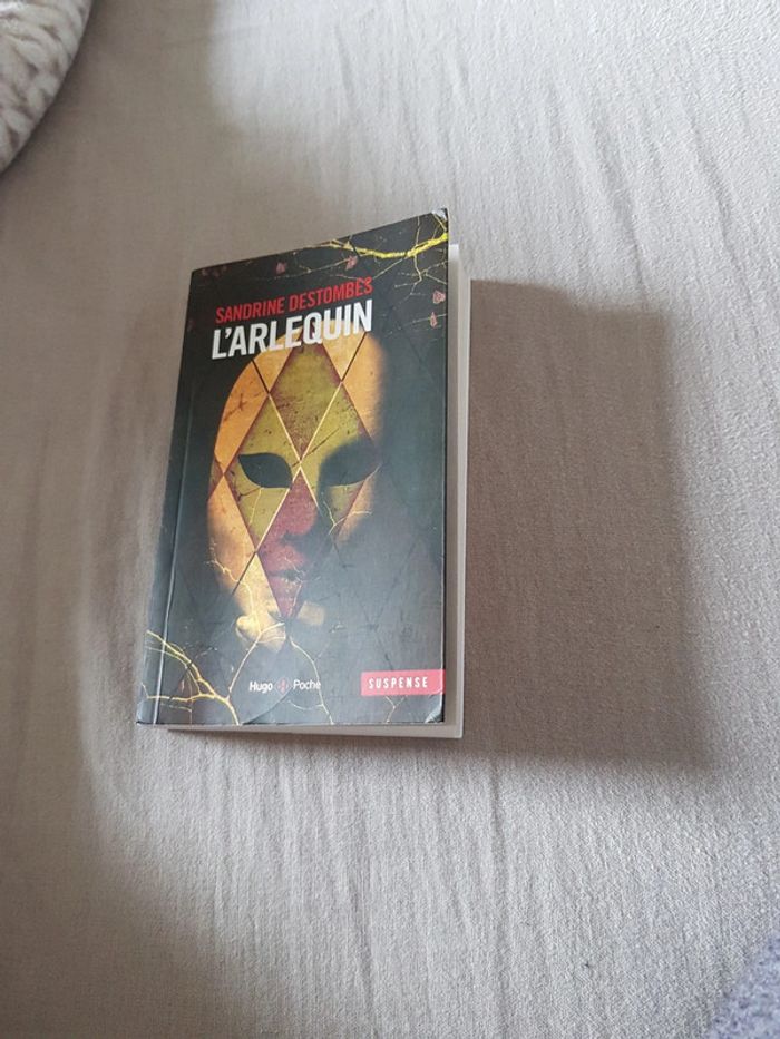 L'arlequin - Sandrine Destombes - photo numéro 5