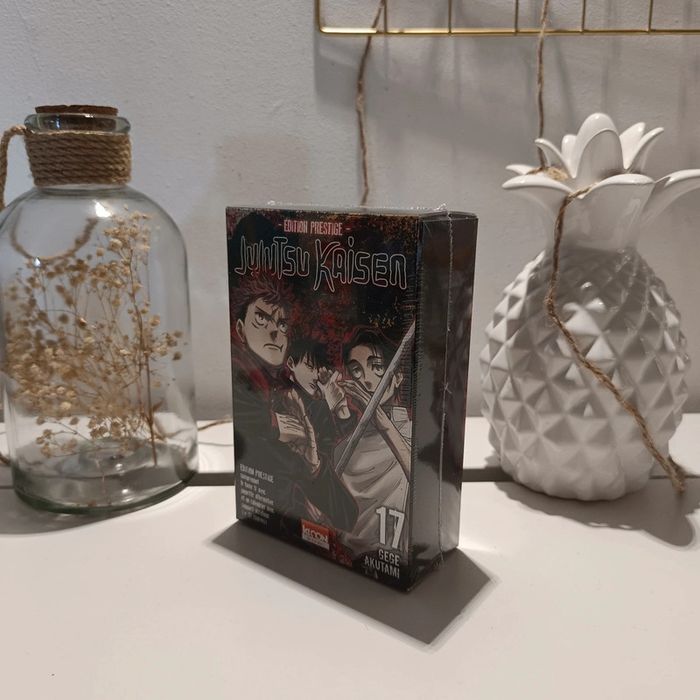Manga jujutsu kaisen coffret prestige 17