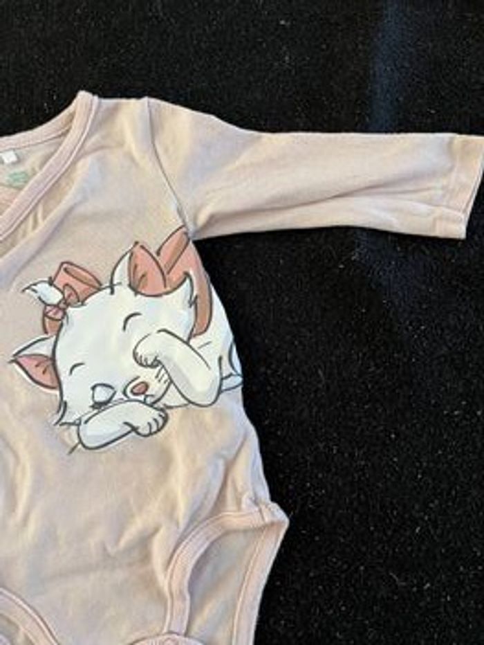 Bodie 3 mois - photo numéro 2