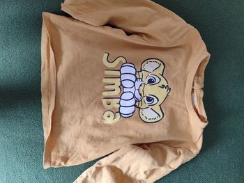 Tee shirt ml roi lion 2 ans