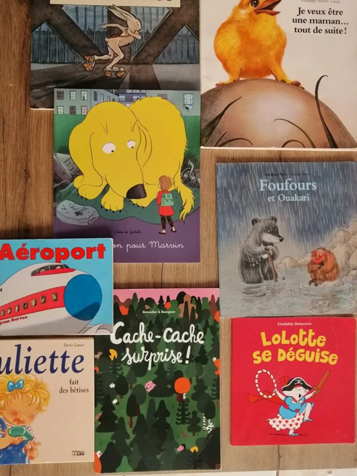 Albums littérature de jeunesse - photo numéro 2