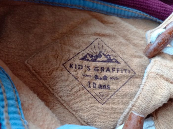 Sweat a capuche garçon 10 ans - photo numéro 2