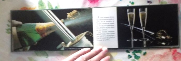 L'ART DE SABRER LE CHAMPAGNE par CANARD-DUCHENE - photo numéro 5