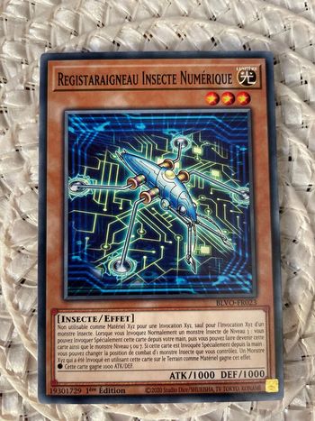 BLVO-FR023 - Registaraigneau Insecte Numérique