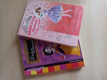 Lot de livres enfants Princesse 