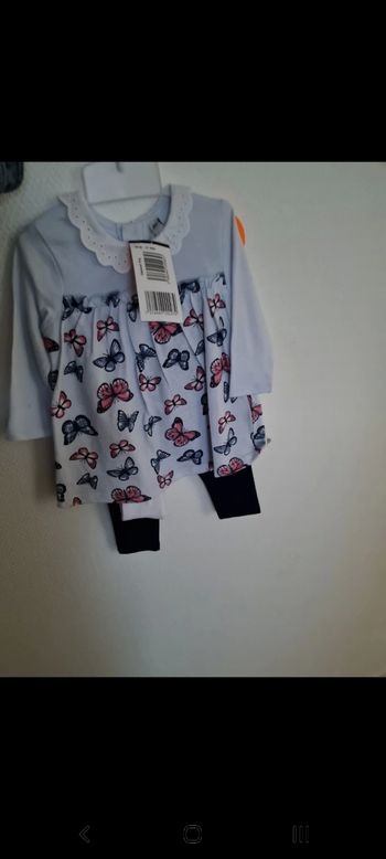 Ensemble bleue papillon