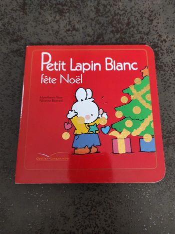 Petit lapin blanc fête Noël