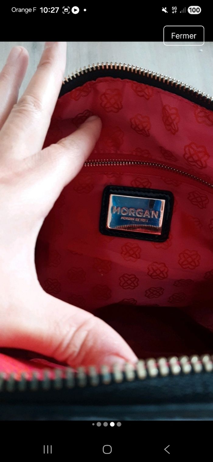 Morgan - photo numéro 7