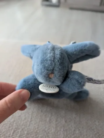 Lapin