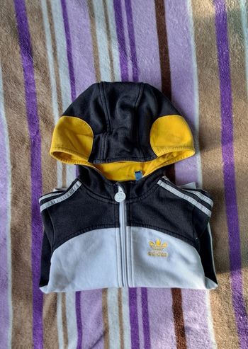 Veste à capuche Adidas 