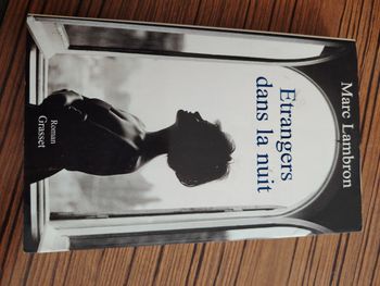 Étranger dans la nuit