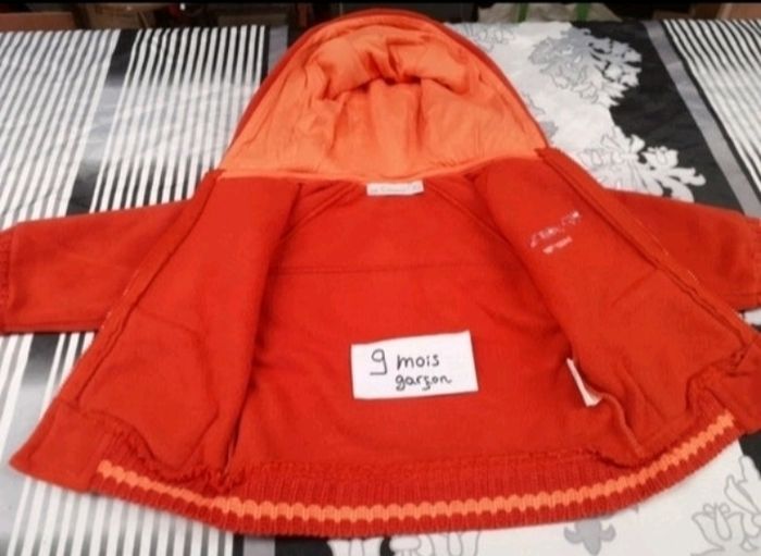 Veste à capuche 9 mois garçon - photo numéro 2