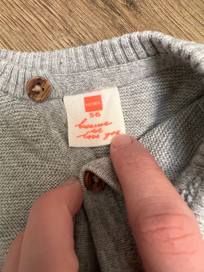 Gilet gris - photo numéro 2