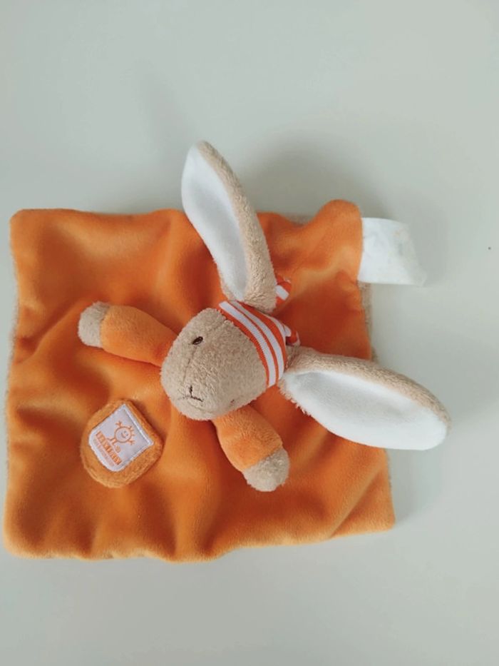 Lapin Baby Folly - photo numéro 2