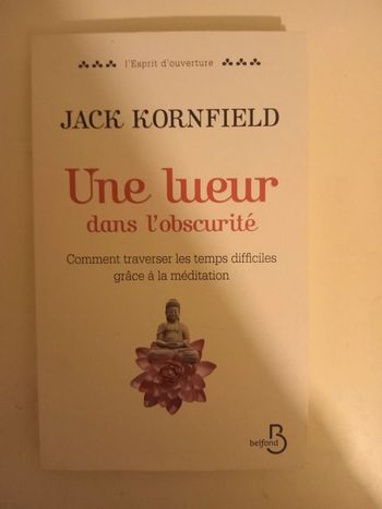 Une lueur dans l'obscurité: Comment traverser les temps difficiles grâce à la méditation
