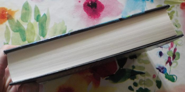 Prisonniers du temps de Michael Crichton Ed. France Loisirs - photo numéro 4