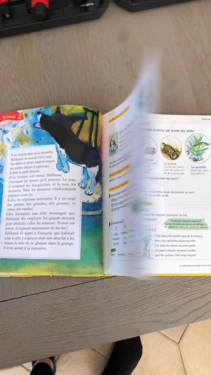 Livre CE1 - photo numéro 3