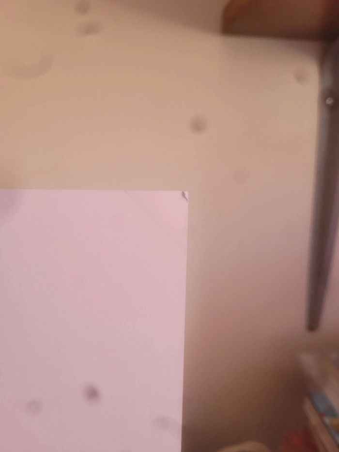 Ex-Libris Dragon Head manga 20 ans Passion Pika Edition - photo numéro 3