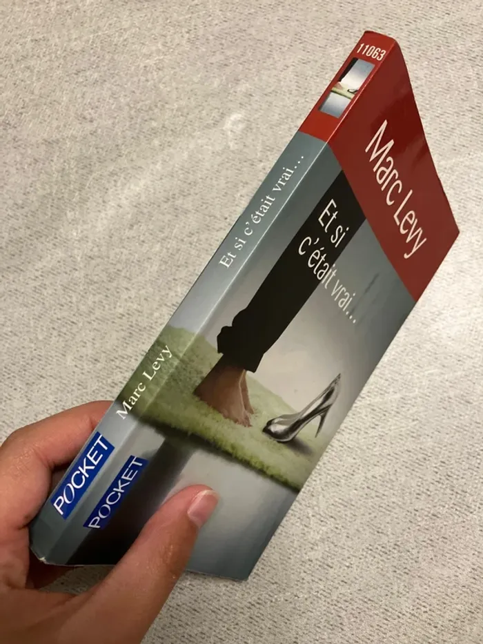 Et si c’était vrai – Marc Levy (Pocket) - photo numéro 2