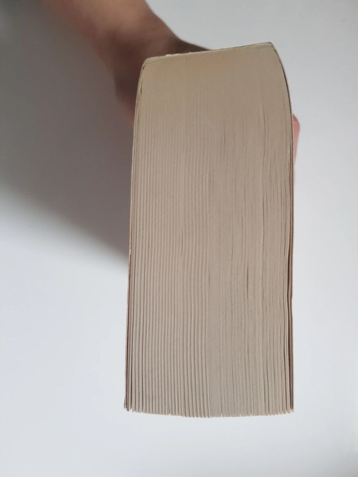 Ken Follett (Écrivain) Saga Kingsbridge, Tome 3 : Une colonne de feu - photo numéro 7