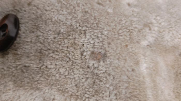 Beau manteau vintage en shearling montone peau de mouton retourné laine S M - photo numéro 14