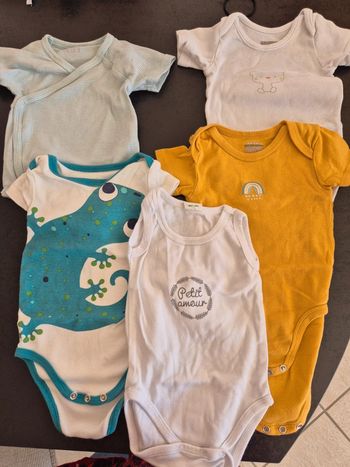 Lot de 5 bodys 9 mois