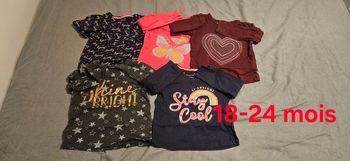 Lot de 5 tee-shirts manches longues 18-24 mois