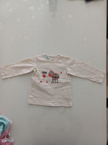 Tee short taille 24 mois Neuf