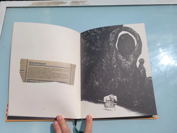 Livre Fake News, Éditions Les Rêveurs - photo numéro 5