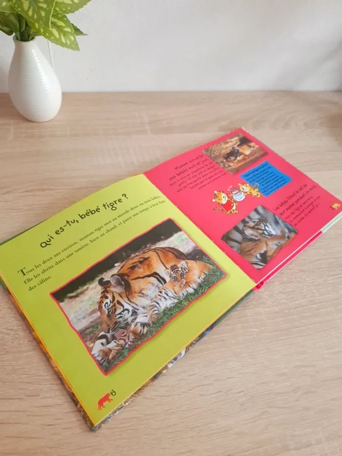 Livre enfant / Ridja la douce - photo numéro 7