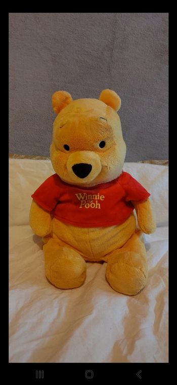 Winnie 45cm
