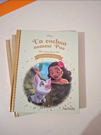 Livre Disney un cochon nommé Pua