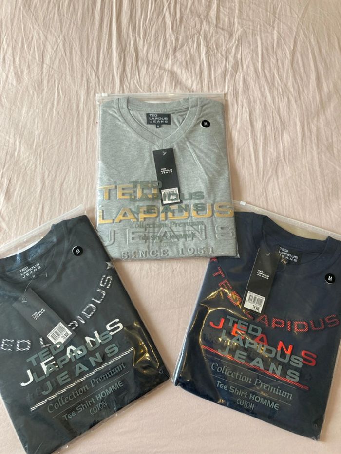 Ted lapidus