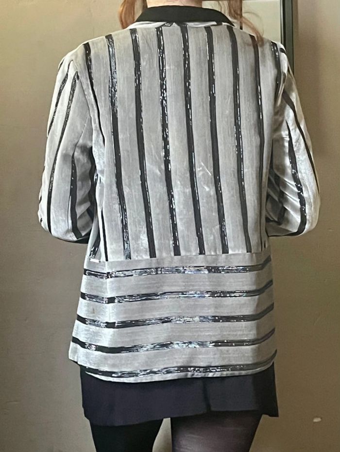 Veste blazer rayures noires et argentées en velours - photo numéro 8