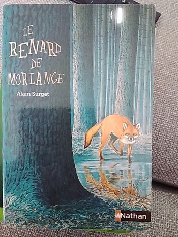 Livre pour enfant 10 ans