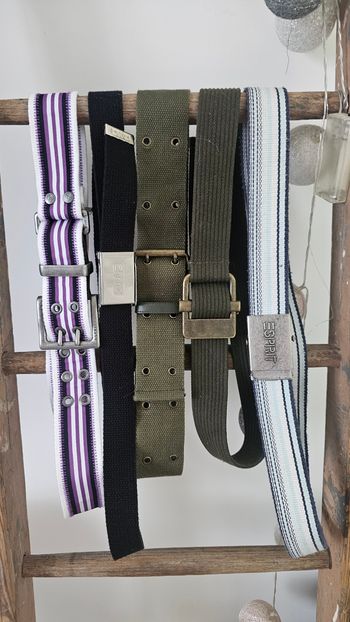 Lot de 5 ceintures 