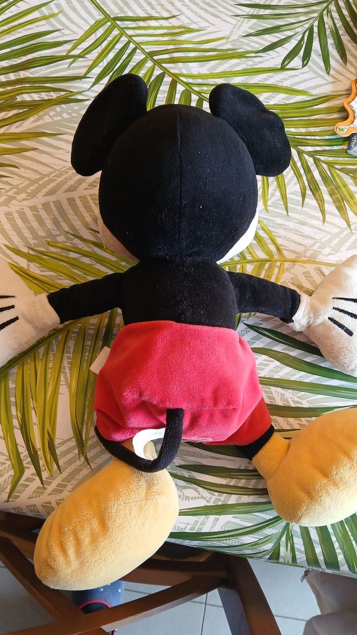 Mickey - photo numéro 6