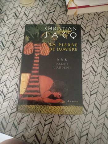 Livre :" La pierre de lumière"